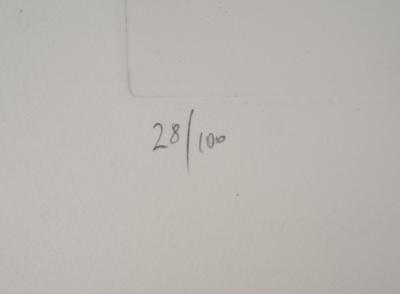 TITUS-CARMEL - The deterioration of the two boxes: contamination, 1971 - Original etching, signed 2