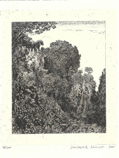 Jean Baptiste SECHERET  - Le bois d ’acacias, 2001 - Gravure originale en N&B 2