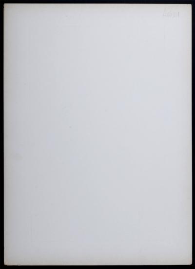 Émile-Allain SEGUY - Les Algues, 1900 - Lithograph (Chromotypograph) 2