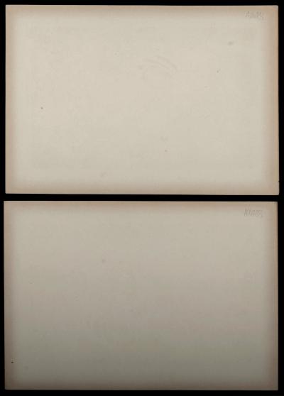 Alphonse MUCHA - Byzantine & Langage des Fleurs, ch. 1900 - Ensemble de 2 lithographies originales 2