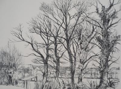Eugène CORNEAU : Vieux arbres - Gravure Originale Signée, 1946 2