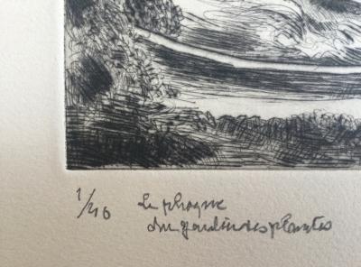 Hermine DAVID - Le phoque du Jardin des Plantes - Eau-forte signée 2