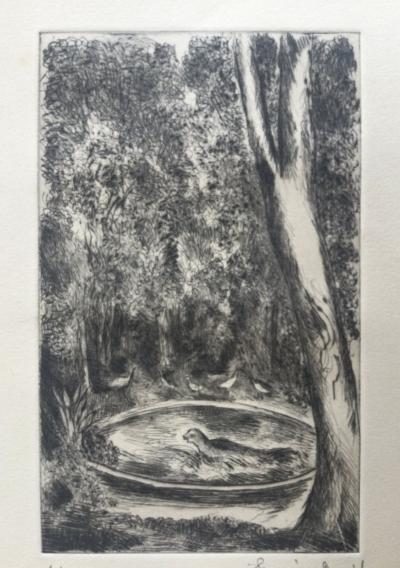 Hermine DAVID - Le phoque du Jardin des Plantes - Eau-forte signée 2