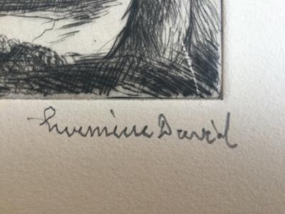 Hermine DAVID - Le phoque du Jardin des Plantes - Eau-forte signée 2