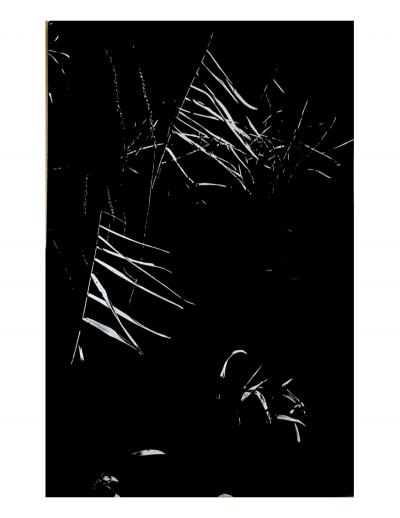 Lucien Clergue - La Camargue Secrète - Héliogravure 2