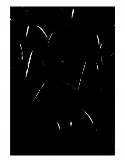Lucien Clergue - La Camargue Secrète - Héliogravure 2