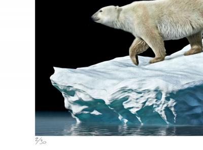 Mr Strange - Premiers Signes,  2019 - Sérigraphie signée au crayon 2