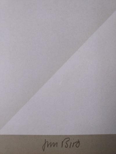 Jim BIRD - Tribute to Vasarely 2, 1972 - Photolithograph on paper 2