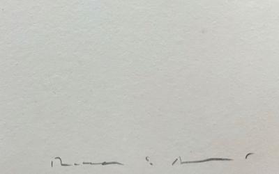 Josep Riera i Arago -  Avion à l’hélice verte - Gravure signée 2