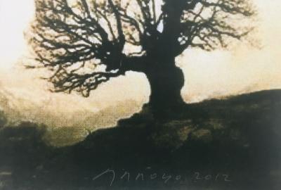 Eduardo ARROYO - Abalé, 2012 - Tirage pigmentaire signé au crayon 2