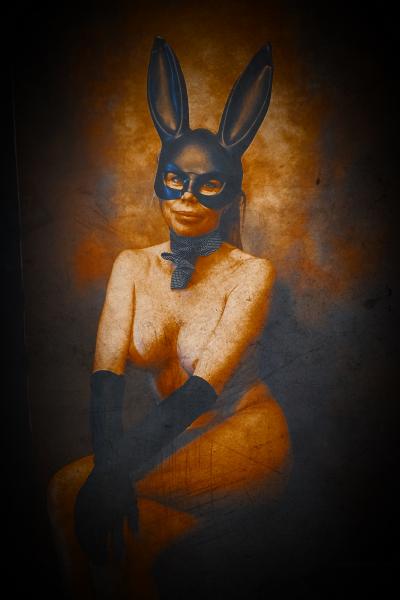 Gaudi .C - the-playboy-club-bunny , 2023 2