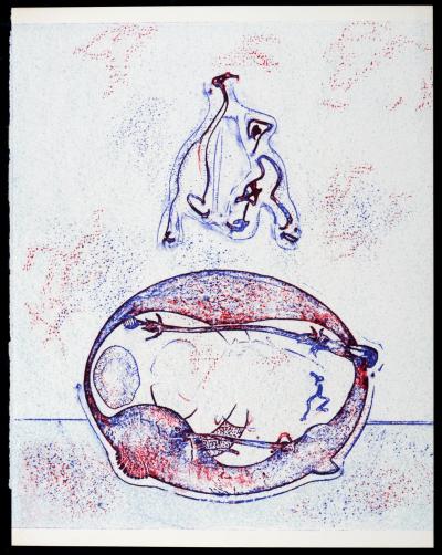 Max ERNST - Après moi le XXème siècle, 1971 - Original lithograph in colors on wove paper. 2