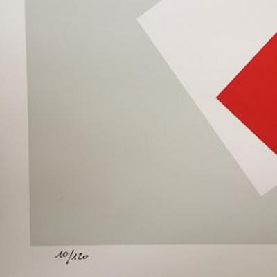 Joël Froment - Hommage à Matisse I - sérigraphie sur PVC 2