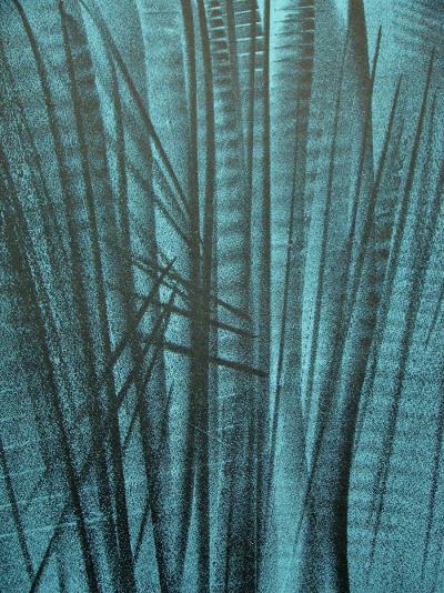 Hans HARTUNG - L 127, 1964 - Lithographie originale 2