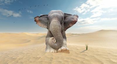 Mr Strange - Sand Bath - Giclée sur papier Hanhemühle 2