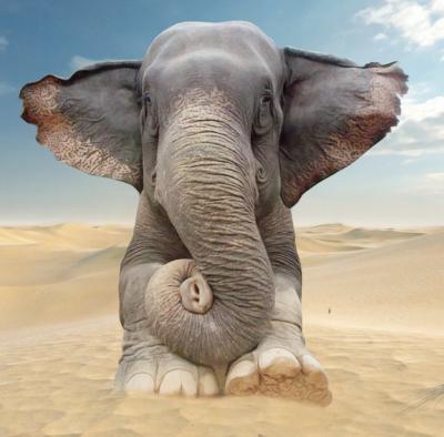 Mr Strange - Sand Bath - Giclée sur papier Hanhemühle 2