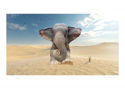 Mr Strange - Sand Bath - Giclée sur papier Hanhemühle 2