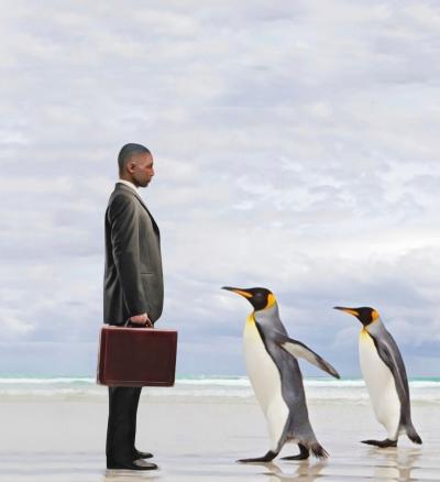 Mr Strange - Come See dad III, 29023 - Giclée sur papier Hanhemühle 2