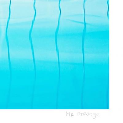 Mr Strange - A Chimpanzee’s Life - 2023 - Giclée sur papier Hanhemühle 2