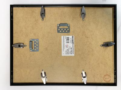 Cisco - Chipie, 2025 - Acrylique sur billet 2