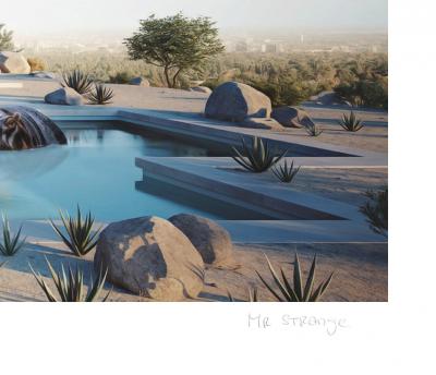 Mr Strange - A beautiful Day in Palm Spring - 2023 - Giclée sur papier Hanhemühle 2