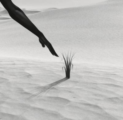Mr strange - Sand, grass and Dance - 2023 - Giclée sur papier Hanhemühle 2