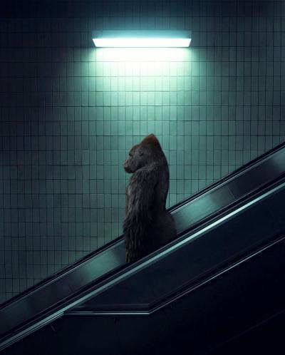 Mr strange - 2022 - The Escalator - Giclée sur papier Hanhemühle 2