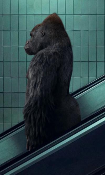 Mr strange - 2022 - The Escalator - Giclée sur papier Hanhemühle 2