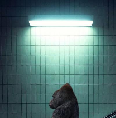 Mr strange - 2022 - The Escalator - Giclée sur papier Hanhemühle 2