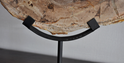 Objet de décoration - Large tranche de bois pétrifié sur socle 2