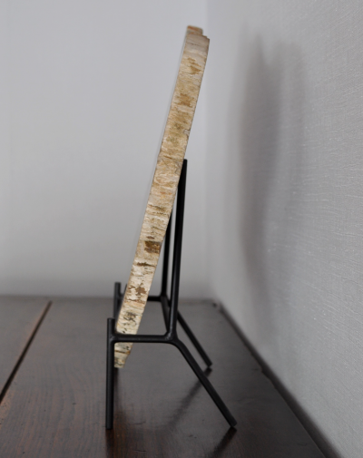 Objet de décoration - Large tranche de bois pétrifié sur socle 2