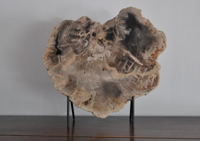 Objet de décoration - Large tranche de bois pétrifié sur socle 2