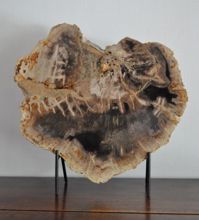 Objet de décoration - Large tranche de bois pétrifié sur socle 2