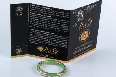 Bracelet jonc rigide en jade avec décors en or jaune 9 carats 2