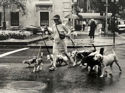 Thomas Consani  - New York [Ten dogs], 1994 - Tirage argentique 2