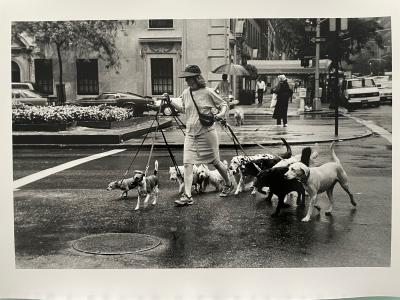 Thomas Consani  - New York [Ten dogs], 1994 - Tirage argentique 2
