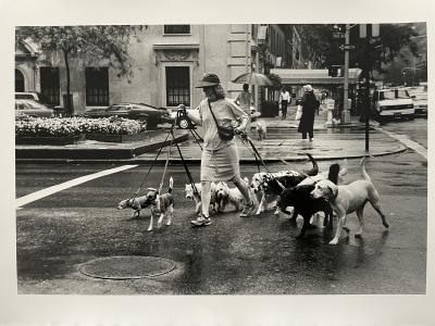 Thomas Consani  - New York [Ten dogs], 1994 - Tirage argentique 2