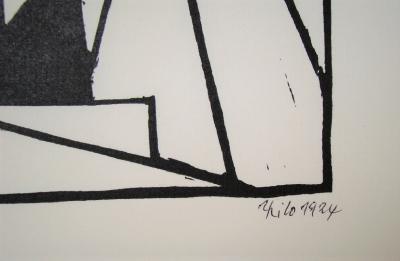 Tirage D’art Original Signé Kris Davidson & David Hale – Lithographie 23/100, STS9, 2009
