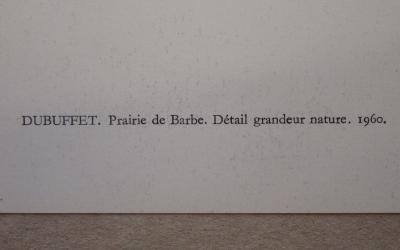 Jean DUBUFFET (d’après) - Prairie de Barbe, 1960 - Sérigraphie 2
