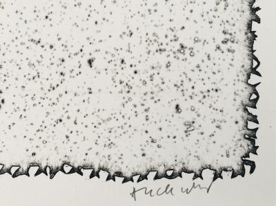 Pierre ALECHINSKY - L’épreuve I, 1989 - Eau-forte originale signée au crayon 2