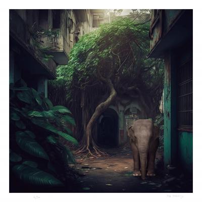 Mr Strange - In Chennai, 2023 - Giclée sur papier Hanhemühle 2