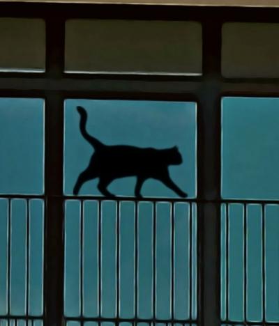 Mr Strange - Le Vieil Homme et ses Chats, 2023 - Giclée numérotée sur papier 2
