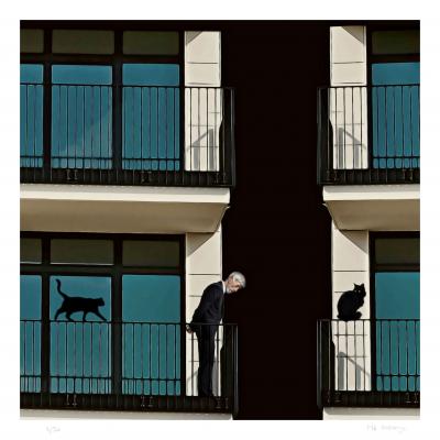 Mr Strange - Le Vieil Homme et ses Chats, 2023 - Giclée numérotée sur papier 2