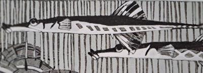 Mathurin Méheut (d’après) (1882-1958) - Poissons - Impression numérique 2