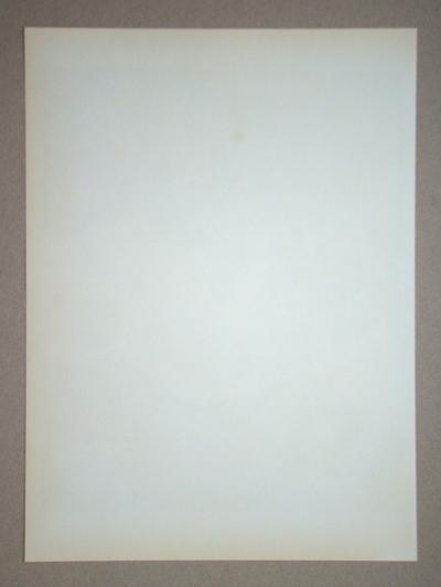 Georges BRAQUE - Deux Oiseaux Avec Nuages, 1955 - Original lithograph 2