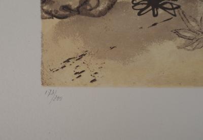 Salvador DALI : Rhinocéros : Hommage à Albrecht Dürer - Lithographie signée au crayon 2