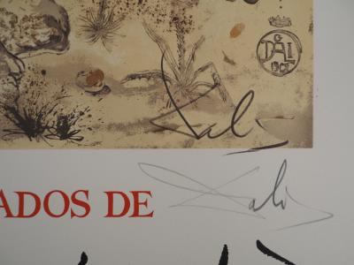 Salvador DALI: Rhinoceros: Homage to Albrecht Dürer - Lithograph signed in pencil 2