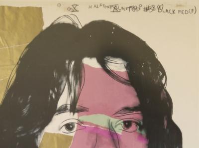 Andy Warhol - Mick Jagger - Musée d’art moderne, Vienne , 2010 - Lithographie 2