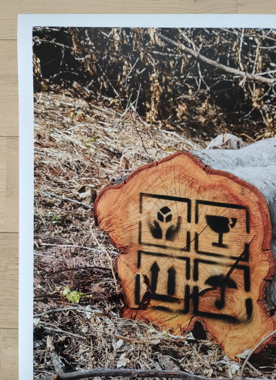 Bordalo II - Fragile - Sérigraphie réhaussée à la main 2