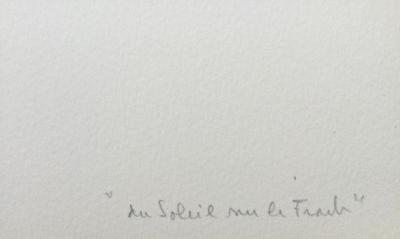 François ARNAL - Du soleil sur le froid,1985 - Lithographie signée au crayon 2